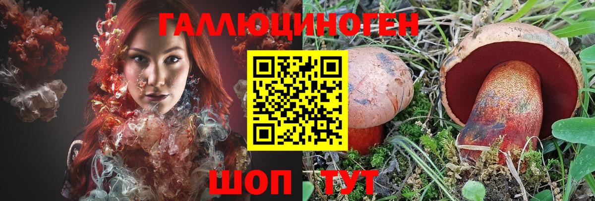 Псилоцибиновые грибы прущие грибы Менделеевск